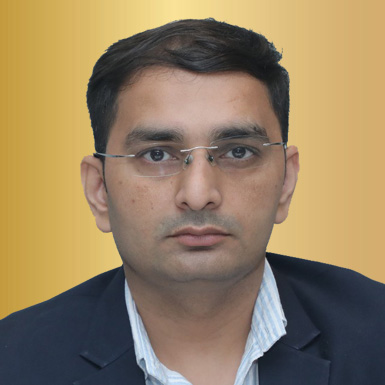 Mr. Umesh Kumar